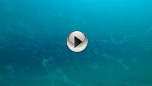 "GEÇMİŞ OLSUN EL BİRLİĞİ İLE BİR DENİZİ ÖLDÜRDÜK"