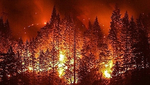 ORMAN YANGINLARINA KARŞI TEYAKKUZDAYIZ!