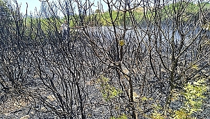 BİGA İTFAİYESİNDEN ANINDA MÜDAHALE 