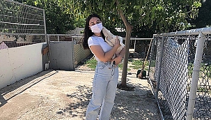 CAN DOSTLAR İÇİN ÇALIŞMALAR DEVAM EDİYOR