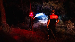 TAVAKLI'DA ÜST ÜSTE YANGIN!