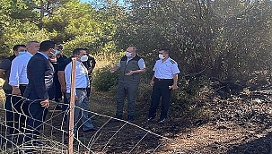 VALİ AKTAŞ, TAVAKLI KÖYÜ YANGIN BÖLGESİNDEKİ ÇALIŞMALARI YERİNDE İNCELEDİ