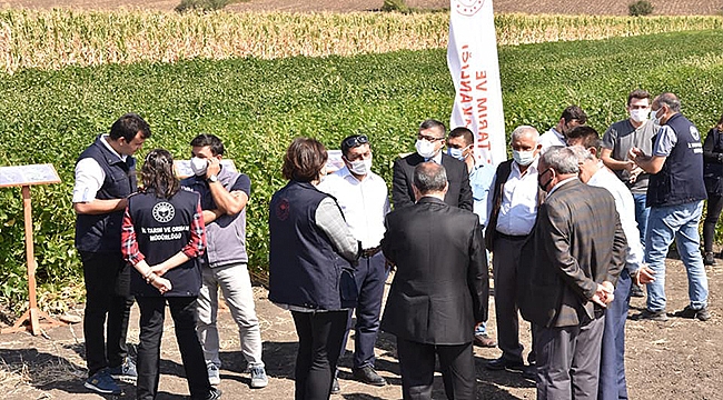 HAYVANLAR OTA, GÜĞÜMLER SÜTE DOYSUN PROJESİ