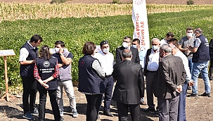 HAYVANLAR OTA, GÜĞÜMLER SÜTE DOYSUN PROJESİ