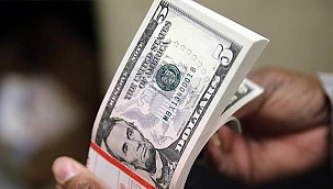 DOLAR TÜM ZAMANLARIN EN YÜKSEK SEVİYESİNİ GÖRDÜ!