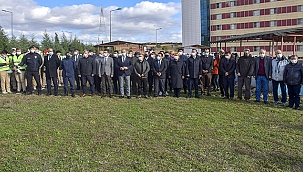 84 MİLYON İÇİN 3'ER FİDAN