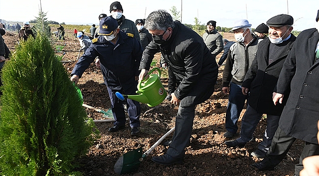 FİDANLAR TOPRAKLA BULUŞTU