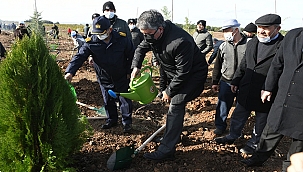 FİDANLAR TOPRAKLA BULUŞTU