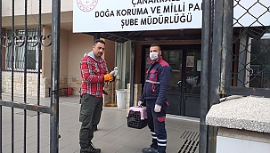 YARALI MARTI KURTARILDI