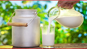 KEÇİ VE KOYUN SÜTÜ MALİYET HESABI PAYLAŞILDI