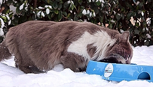 "SEVGİMİZ, ENERJİMİZ SİZİNLE"