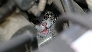 "YOLA ÇIKMADAN ÖNCE KÜÇÜK BİR KONTROL YETERLİ"