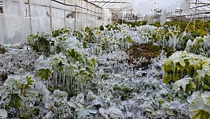 ZİRAİ DONA DİKKAT!