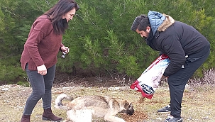 AVUKATLAR SOKAK HAYVANLARINI UNUTMADI