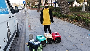 CAN DOSTLARIMIZ İÇİN ÇALIŞMALAR ARALIKSIZ SÜRÜYOR