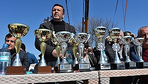 9. BÜYÜK TRUVA DEVE GÜREŞLERİ ŞÖLEN HAVASINDA GEÇTİ