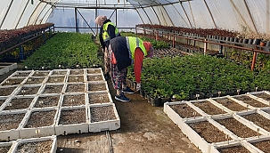 AYVACIK BELEDİYESİ PERSONELLERİNDEN ÇANAKKALE BELEDİYESİNE İNCELEME GEZİSİ