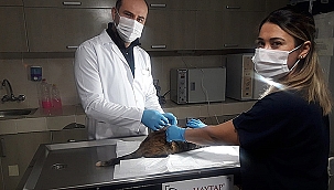 CAN DOSTLAR İÇİN ÇALIŞMALAR ARALIKSIZ SÜRÜYOR