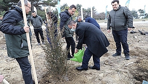 "TOPRAĞI VATAN YAPAN YİĞİTLERİN YEŞEREN FİDANLARI"
