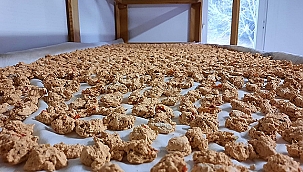 YEREL KALKINMA BİRİMİNDEN KOOPERATİF ZİYARETLERİ