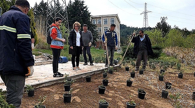 "SENİN DE 1 FİDANIN OLSUN" KAMPÜS AĞAÇLANDIRMA SEFERBERLİĞİ BAŞLADI