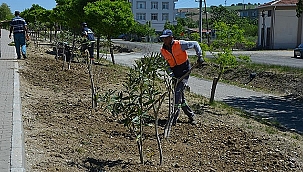 LAPSEKİ'DE YAZA HAZIRLIK BAŞLADI