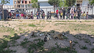 MİNİK ÖĞRENCİLERDEN CAN DOSTLARA ZİYARET