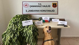 JANDARMA GEÇİT VERMEDİ!