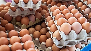 BİR OKKALI ZAM DA YUMURTAYA YAPILDI!