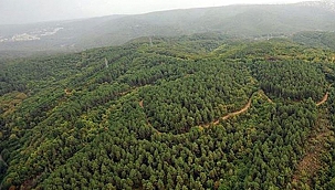 ORMANLARA GİRİŞLER YASAKLANDI!