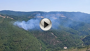 BİGA'DA 1 HEKTAR ALAN YANDI!