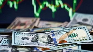 DOLAR TÜM ZAMANLARIN EN YÜKSEK SEVİYESİNİ GÖRDÜ!