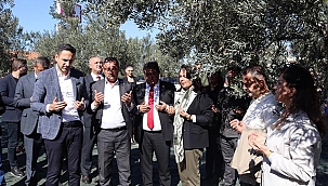 2. GEYİKLİ ZEYTİN HASAT ŞENLİĞİ YAPILDI