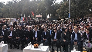 AYVACIK'DA ZEYTİN HASAT ŞENLİĞİ YAPILDI