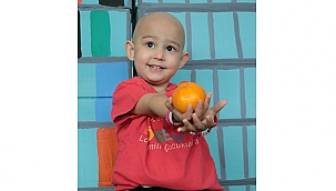 HER DİLİMİNDE HAYAT VAR !