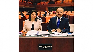 "YENİ YILIMIZ KUTLU OLSUN"