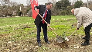 ''ZEYTİN FİDANI DİKİMİ'' ETKİNLİĞİ GERÇEKLEŞTİRİLDİ