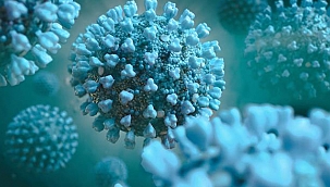 BİLL GATES, DÜNYAYI BEKLEYEN YENİ TEHLİKEYE KARŞI İNSANLIĞI UYARDI!