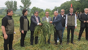 ÇAN'DA 'DÖRTLÜ KARIŞIM YEM BİTKİSİ' HASADI BAŞLADI