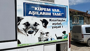 ÇAN'DA SOKAK HAYVANLARI KISIRLAŞTIRILIYOR