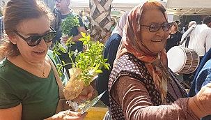 ÇANAKKALE'NİN ATALIK TOHUMLARI SEFERİHİSAR'DA TANITILDI