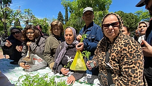 GEÇMİŞTEN GELECEĞE TOHUM TRANSFERİ