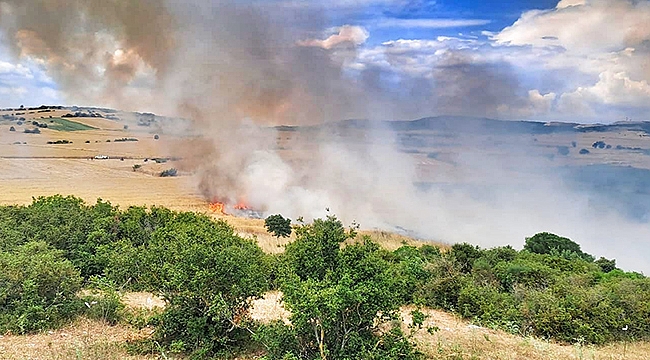 BİGA'DA 100 DÖNÜM ARAZİ KÜL OLDU!