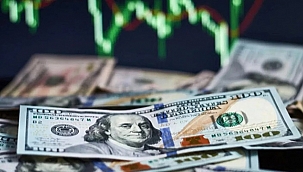 DOLAR İLK İŞ GÜNÜNE REKORLA BAŞLADI!