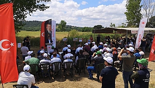 "KANOLA EKELİM, YAĞ OLSUN, BAL OLSUN"