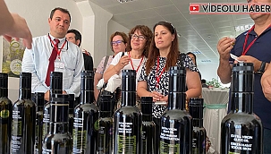 ÇANAKKALE ZEYTİNİ AVRUPA KALİTESİYLE YARIŞACAK