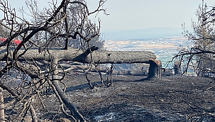 ÇANAKKALE'NİN CİĞERİ YANDI