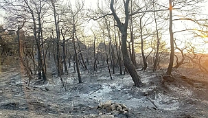 YANGIN KONTROL ALTINA ALINDI!