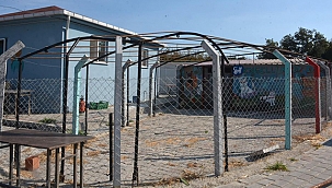 ENGELLİ KEDİ EVİ HİZMETE AÇILDI