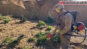 ZEHİR TACİRLERİNE OPERASYON!